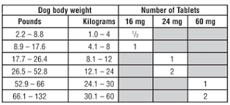 Cerenia Maropitant Citrate Zoetis Us