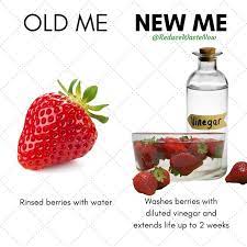 Reducewastenow Zero Waste Shop On Instagram Follow Reducewastenow For Simple Actionable Ways You Can Help The Environment In 2021 Reduce Food Waste Food Waste Food