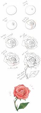 How to draw an iris flower. How To Draw A Realistic Rose Flower Step By Hobbiesxstyle