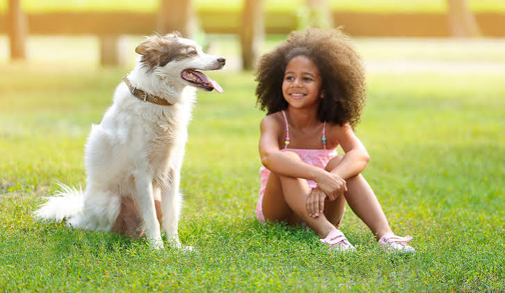 10 REASONS WHY KIDS SHOULD BE RAISED AROUND ANIMALS - Berthoud Animal  Hospital