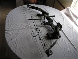 Golden Eagle Pro Predator Compound Bow For Sale At Gunauction Com 5956032 We manufacture premium compound bows at great prices for adults and youth. golden eagle pro predator compound bow