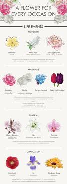 Flower For Every Occasion In 2020 Flower Meanings Trendy Flowers Language Of Flowers
