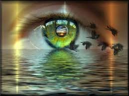 images