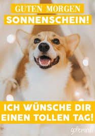 Check spelling or type a new query. Guten Morgen Die Schonsten Bilder Und Spruche Kostenlos