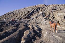 Gunung bromo merupakan gunung yang indah tentu saja. Mengapa Di Gunung Bromo Tidak Boleh Menggunakan Mobil Pribadi Quora