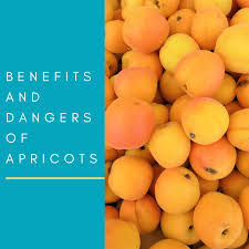 Food styling by lisa cherkasky for the washington post). Apricot Fruits And Kernels Potential Benefits And Dangers Delishably
