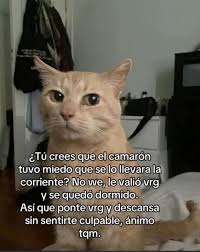 Itzel Camacho (@ItzelCamachoG)