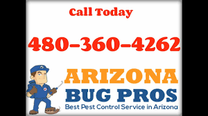 We are locally owned and operated in the east valley and extend services from gold canyon to ahwatukee and as far north as scottsdale. Cockroach Control Maricopa Az Tim S Services At Arizona