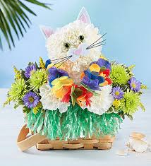 We did not find results for: Tropical Party Kitty A Party In A Basket In Gainesville Fl Prange S Florist