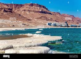 Solved The Dead Sea Is One Of The Saltiest Bodies Of Water | Chegg.Com
