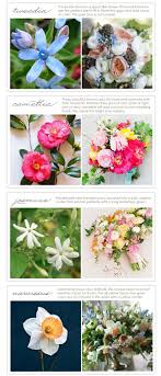 Pin On Flower Types