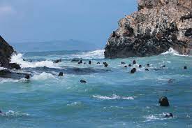 Se realiza también un campeonato de surf y body board la cual atrae a competidores locales, nacionales y extranjeros. Revista Capital El Grito De Cobquecura