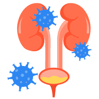 Infeksi Saluran Kemih (ISK) - Hello Sehat - Halaman 1 dari 1