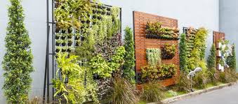 These flowers are tubular in shape and. Vertical Gardening Village Gardens