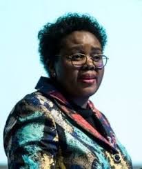 She and her family lived in a shack. Transform Or Starve Racist Minister Of Tourism Mmamoloko Kubayi Ngubane Spreading Lies As Concourt Dismisses One Applicant In Action Against Anc S Racebased Covid 19 Aid Sa News Com
