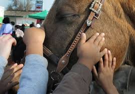Stockton students take an AgVenture