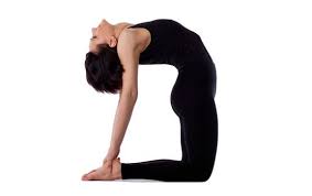 Pin On Yoga Chakra