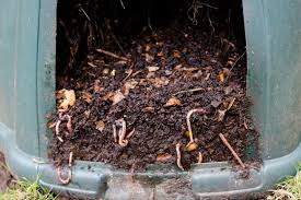 Worms tunnel in soil and eat organic matter, which they excrete as castings. Love Food Hate Waste