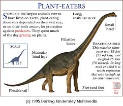 On page 1 of 2 pages. Dinosaur Names And Descriptions Novocom Top