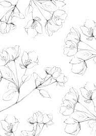 Illustrated Botanical Pattern Botanical Drawings Floral Illustrations Flower Drawing