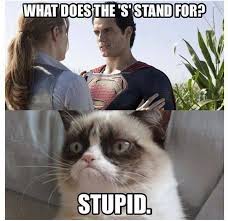 You can find every meme collection based on your feelings. Top 30 Funny Cat Memes Quotes And Humor