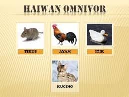 Otçullarla etoburlar arasındaki temel fark, otçulların sadece bitkileri yediği, etoburların ise sadece et yediğidir. Cara Pemakanan Karnivor Omnivor Dan Tuisyen Individu Facebook