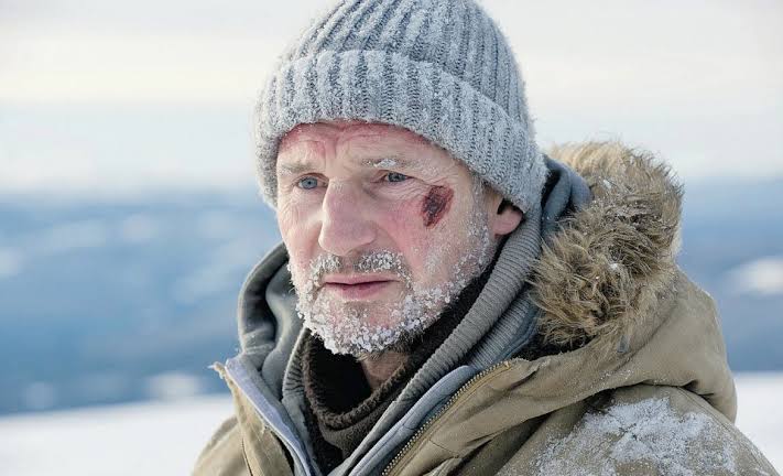 A deep dive into 'The Grey': The masterpiece you may have missed | ksdk.com