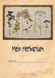 We did not find results for: 15 Herbarium Ideen Herbarium Vorlage Gestalten Deckblatt Gestalten