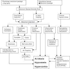 Management Of Meconium Aspiration Syndrome Current Paediatrics