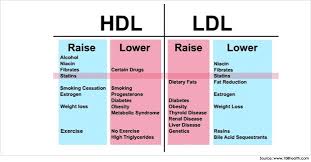 Jun 01, 2018 · high levels of sodium and cholesterol in the body increase one's risk of many negative bodily effects ranging from headache to obesity. High Cholesterol High Hdl Low Triglycerides Cardiac Health