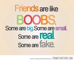 Check out some great friendship quotes that capture the true spirit about being there for each other. Friends Are Like Friends Quotes Friends Are Like Best Friend Quotes