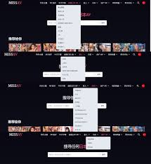 为互联网开车操碎了心，内附40个平台，一篇入门。-itdog