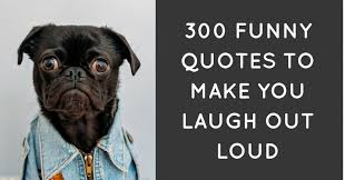 When a camel finally does find water, he can drink up to 40 gallons in one go. 300 Funny Quotes To Make You Laugh Out Loud