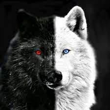 Pin By S D Andrea On Wolves Art Art Of Wolves Wolf With Red Eyes Wolf Eyes Wolf Tattoos