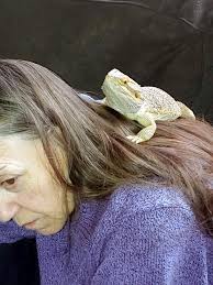 Sandy Erickson Obituary