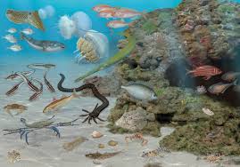 Bago nagbukas ang suez canal, umaabot ng isang taon o higit pa ang paglalakbay, noong nagbukas na ito naging ilang buwan na lang. Suez Canal Disaster The Steinhardt Museum Of Natural History