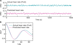 The Control Mechanisms Of Heart Rate Dynamics In A New Heart Rate Nonlinear Time Series Model Scientific Reports