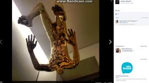 Résultat de recherche d'images pour "alefantis cum panda"