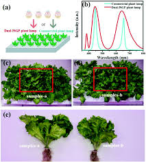 Ada informasi program ini baru dilaksanakan tahun desember 2019. Highly Efficient And Dual Broad Emitting Light Convertor An Option For Next Generation Plant Growth Leds Journal Of Materials Chemistry C Rsc Publishing
