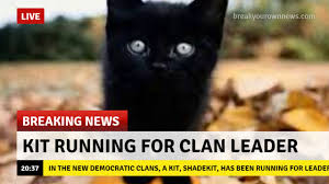 The internet loves cats whether they're grumpy, happy, sad, or just moments from creating mischief. Funny Warrior Cat Memes 3 Youtube