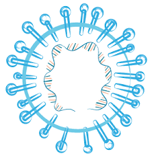 Covid 19 Genomic Surveillance Regional Network Paho Who Pan American Health Organization