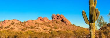 You will also find the most popular bus routes to glendale, az. Glendale Learning Center Glendale Az Carrington College