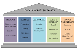 Domains In Psychology Introduction To Psychology