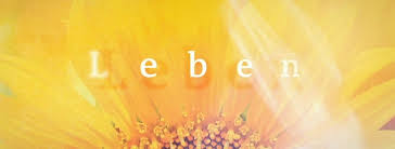 By using our services or clicking i agree, you agree to our use of cookies. Ard Buffet Home Facebook