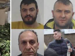 Albanian drug gangs flooding Scotland as energy companies urged to tackle  crime