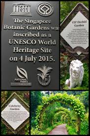 National orchid garden has beautiful view with many orchid collections. A Guide To Visiting The Singapore National Orchid Garden