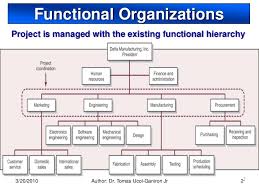 functional organization the advantages and the disadvantages