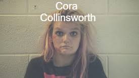 Two Arrested Following...