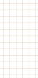 MAYOR ELSIE FOSTER FOR HIGHLAND PARK