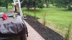 Lawn love is your lawn care service near me answer. Tlc Lawn Care Home Facebook